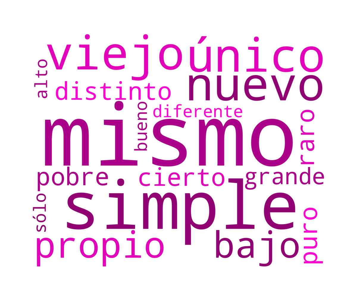 A word cloud with Spanish adjectives such as 'viejo', 'mismo', 'único', 'simple', 'propio', and 'nuevo' in varying sizes.